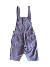 Overall Shorts